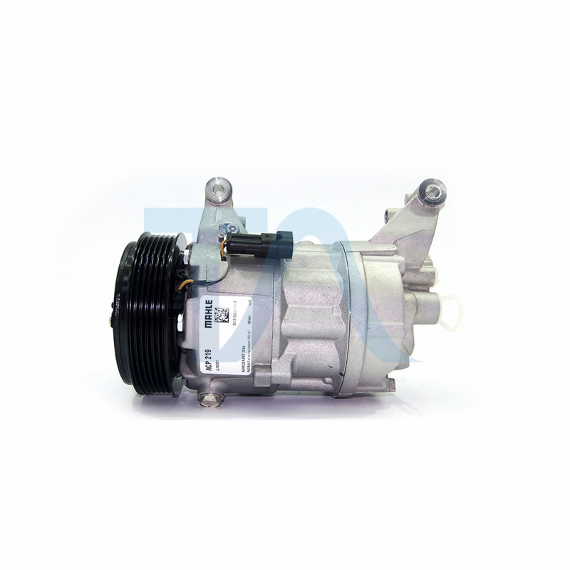 ACP 219